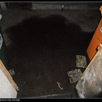 ������Ϊ�������Ҫ����������