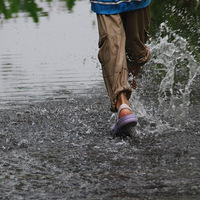 ��Ϫʪ����