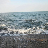 �����ϵġ���ɫ���ǡ�������ǰ����