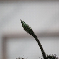 ����������򿪻���