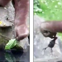 �ο��ĵ�����԰�����ɾ�����ˮСѼ��
