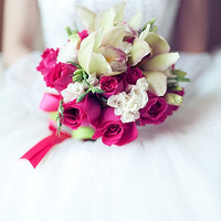 ���������ǵ�СС���񡪡������