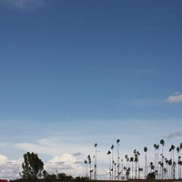 ˽����������Ϊ�˷绨ѩ�µ�����