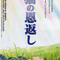 ����᡽�����ײ�������è�ı�����!�͵��͵�..ĬĬ����