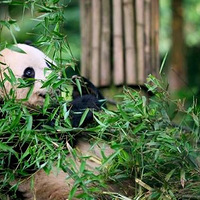 �¶���֮�ã�ÿһ�̶�����֮�Ű��ɶ���