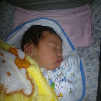 С270����֯����������(������Ƭ����