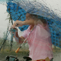 �������������Ź���