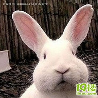 ��������㹫���Լ�����Ƭ�������˰ɣ�