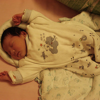 ���޾����ܽ�+���� 4Сʱ ˳������¼+��˵ ����������������