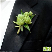 ���ֿɰ������ػ�