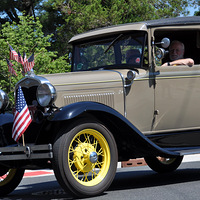 �Ҳ���������� ������ -  ����Ů�� Sally ������