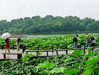 ӳ�պɻ������� ��������֪����(��ͼ��