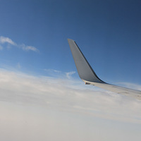 ˫��������