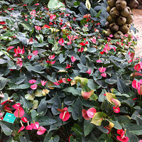 ��λ��֯��������~