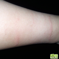 Ҫ110˵թƭ,ų,׹צ,ʯһ~~~~~