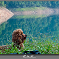 �������¡������