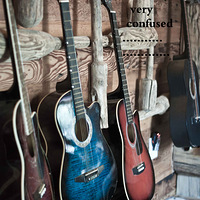 7῵»֮Ϫʪ 19ưɵС