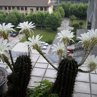 ����������