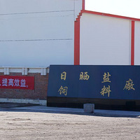 �ѵ�һ����ɳĮ�γ�