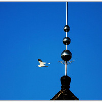 �������ӵ�һ����Ƭ�������裬��������Ŷ������