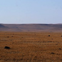 ������ƽ��ɽ������������