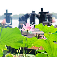 ~~~~~~~~~~~~~~~ 50 14é®~~~~~~~~~~~~~£