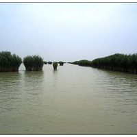 ¿�ۿ�����