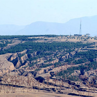 ������ѡ�����������