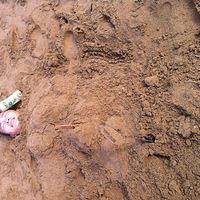 �������ް�-�Լ����һ���