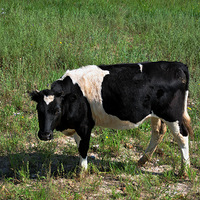 �Ӻ��ױ������ԭ��������