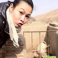 ��ʧ�����ã�����������԰