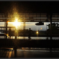 Ư���Ķ�����