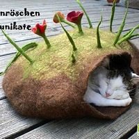 ɰèѣľ