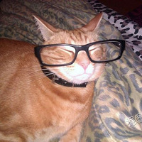 ���۸�Цһ��� �����ذ棩