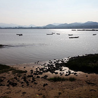 ����·ż��Ǯ����