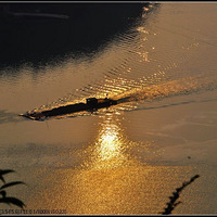 ���ģ�û��Ҳ����