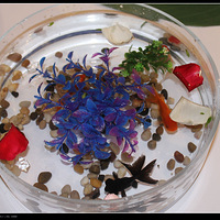 ��һ����ϰPƬ