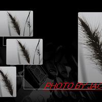 é������