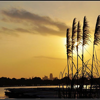 �����ߵ�«έ