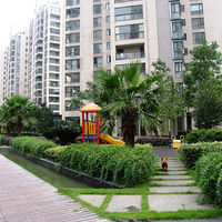 С���ĳ���