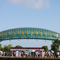 7��������