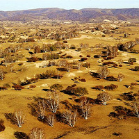 �Ϻ����������ޱ�+�����������