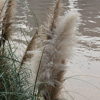 �Ϻ����������ޱ�+�˺ӱ�