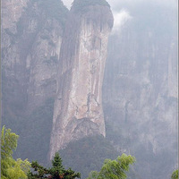 ���Σ�Ұ��Ӱ���ƾ������������