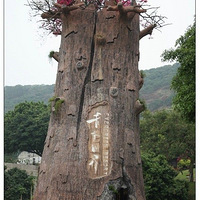 �������磬�������������������Ƭ��Ů��~