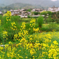 �Ϻ����������ޱ�+��������