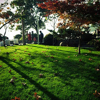 �Ϻ����������ޱ�+����������ֹ����ݵ�������