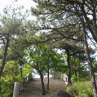 ���Ϻ����ڳ��ѻ᡿�����Լ��α��� ����������壨26�ս�ֹ��