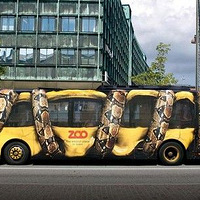 ����԰������