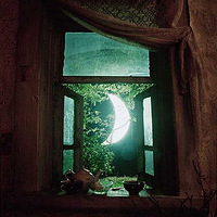 ���������ؼ�~